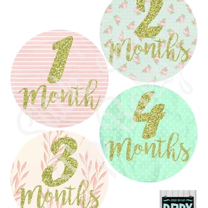 Monthly Baby Stickers - Baby Age Stickers - Baby Girl Gift - Baby Stickers - Baby Photo Prop - Baby Milestone Stickers - Baby Shower Gift