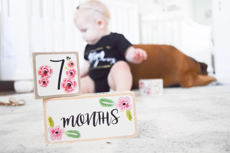 Baby Girl, Baby Age Blocks, Baby Milestone Blocks, Baby Photo Props, Monthly Baby Blocks, Baby Accessories, Baby Gift, Nursery Decor, Shower image 9