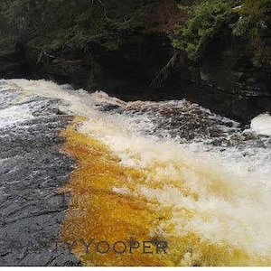 May include: A close-up of a waterfall with a yellow-brown stream flowing into a white foamy stream. The water is cascading over rocks and creating a beautiful natural scene.