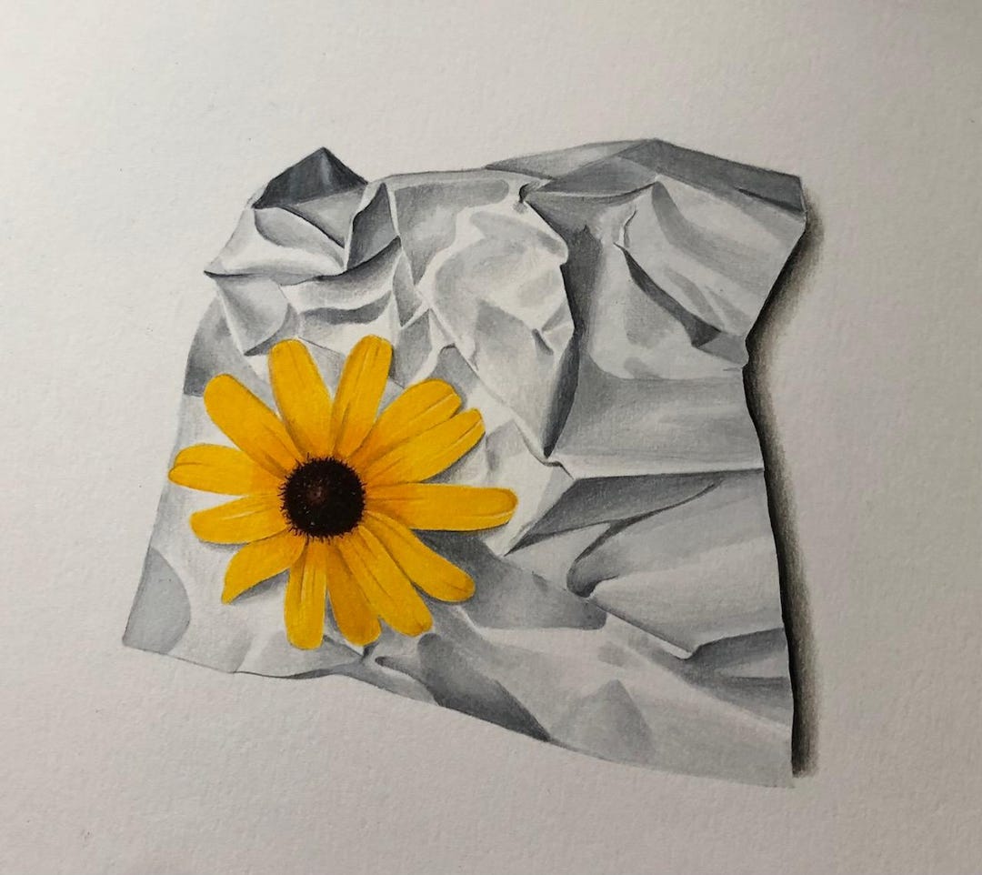 Original Colored Pencil Realism Drawing 9x12 Inches Etsy