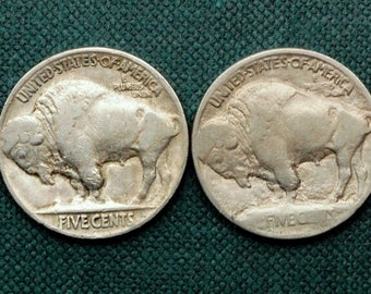 111+ Years Old, 1913 Type 1 and Type 2 Buffalo Nickels