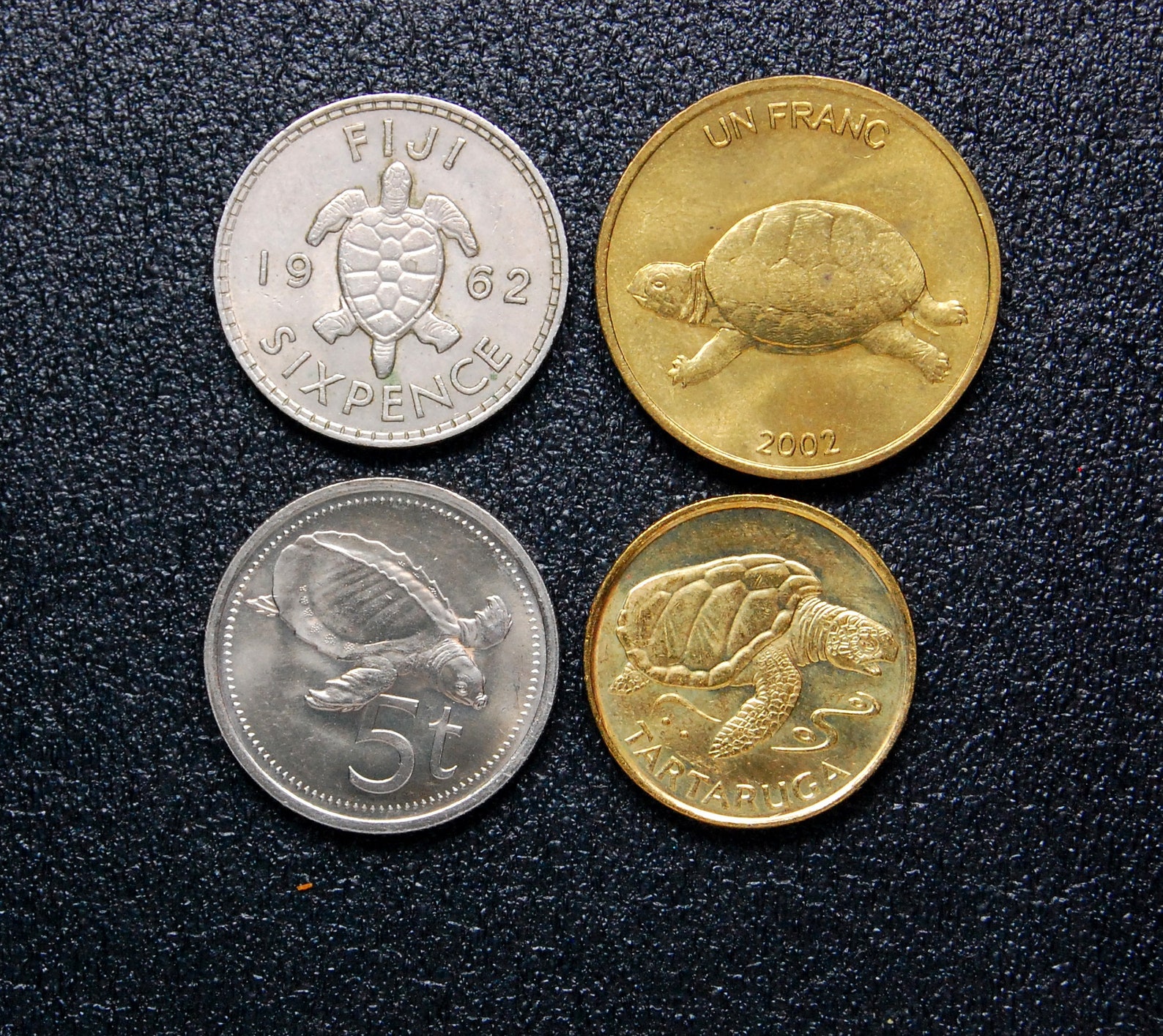 4 Turtles on Coins Land & Sea Etsy