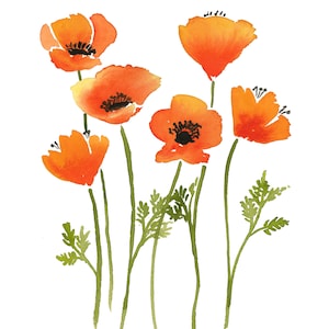 California Poppies INSTANT DOWNLOAD - Etsy
