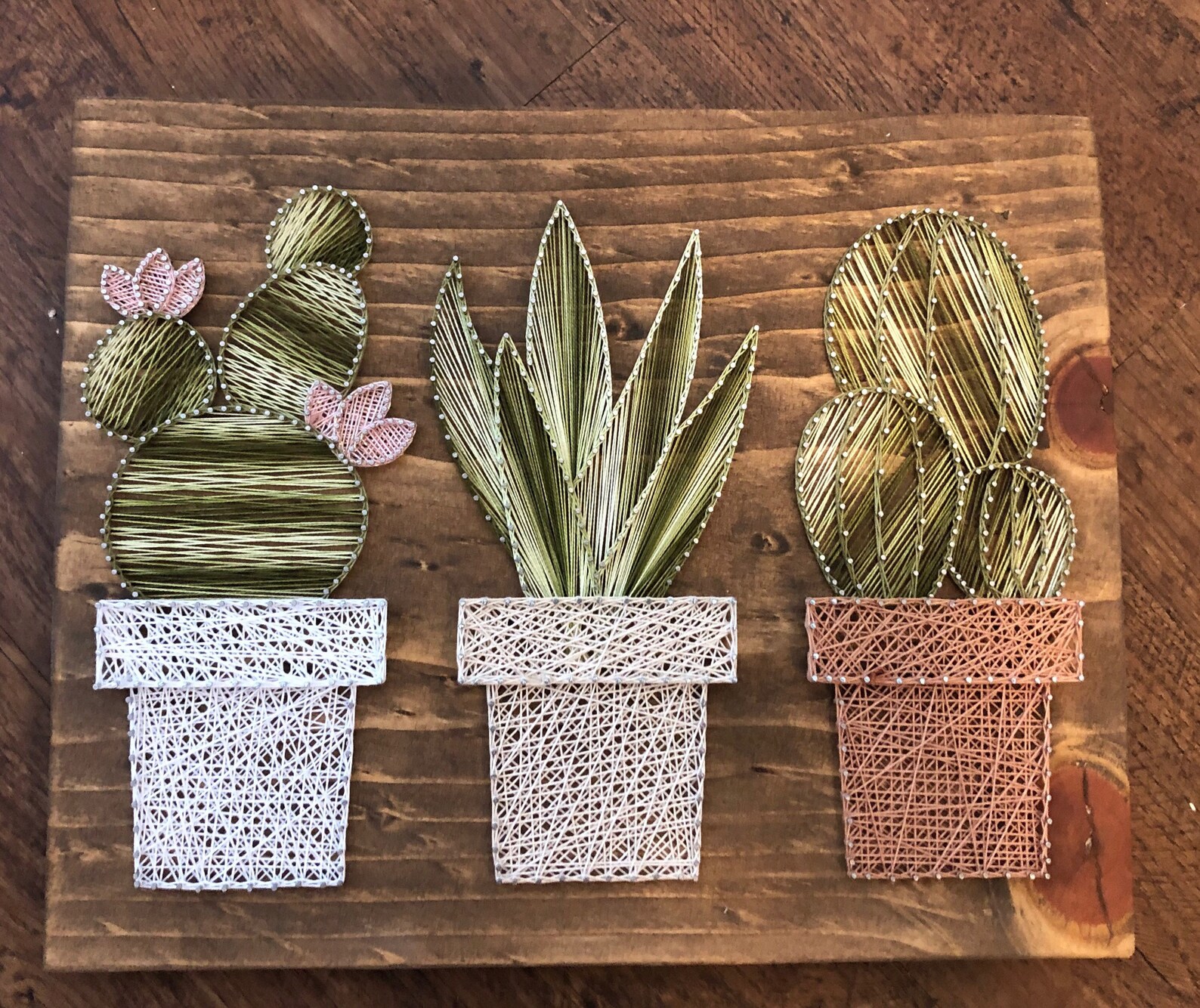 Cactus garden string art suculent string srt home decor | Etsy