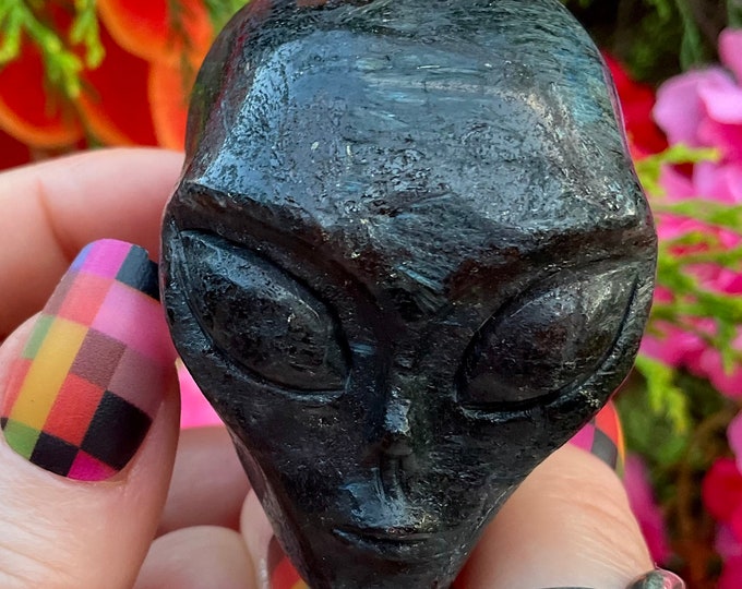 Astrophyllite with Garnet Alien Crystal Mini Skull ~ 6 oz. ~ 2" Long ~ Colorful Black & Blue Sparkling Gemstone ~ Hand-Carved Sculpture