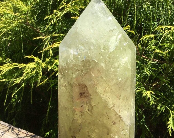 Citrine Crystal Generator ~ 5 Lb. 7 oz. 9" Tall Sunshine Yellow Quartz Polished Tower ~ Sparkling Golden Inclusions