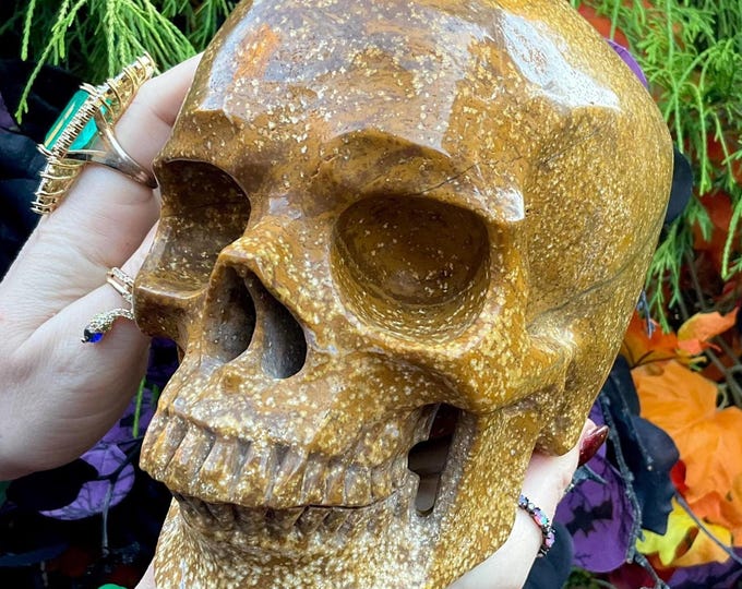 Golden Jasper Crystal Skull ~ Large 7 Lb. ~ 7" Long ~ Expertly Hand-Crafted Life-Size Sculpture Vivid Yellow Colors