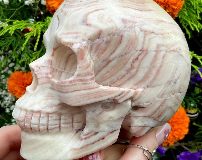 Banded Pink Calcite Crystal Skull ~ Large 2 Lb. 13 oz. ~ 5" Long ~ Hand Carved Sculpture ~ Sparkling Pink Yellow White Grey & Black Colors