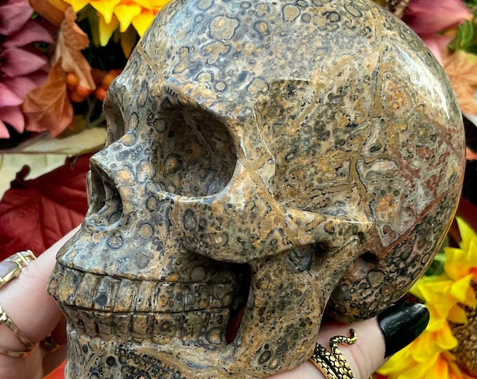 Hand Carved Orbicular Jasper Skull: Large Crystal Sculpture (5")