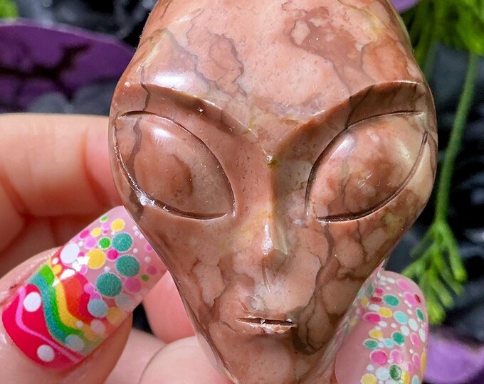 Picture Jasper Alien Mini Crystal Skull ~ Large 5 oz. ~ 2" Tall ~ Brown and Beige Patterns ~ One-of-a-Kind Sculpture