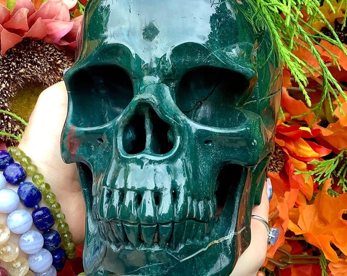 Bloodstone Crystal Skull ~ Large 6 Lb. 8 oz ~ 7" Long ~ Fiery Red and Green ~ One-of-a-Kind ~ Expertly Hand Carved Sculpture