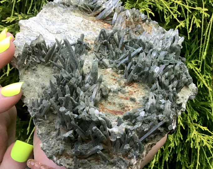 Nepal Chlorite in Clear Quartz Crystal Cluster ~ Large 1 Lb. 4 oz. ~ 7" Long ~ Ultra Sparkling Rare Mineral Specimen ~ Fast & Free Shipping