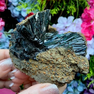 Vivianite Crystal Cluster on Matrix ~ Large 12.9 oz.~ 4&quot; Long ~ Sparkling Deep Bluish Green Crystals ~ Stunning Display ~ Fast Free Shipping