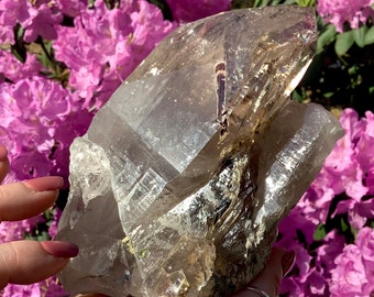 Rökig Himalaya Nirvana Glacial Iskvarts Kristallkluster ~ 18 cm långt ~ Glittrande Brookit Inneslutningar ~ Forntida Striationer