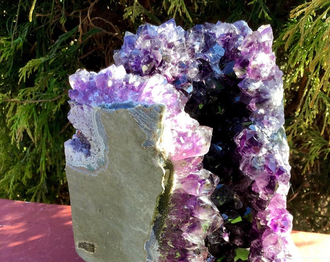 Amethyst Crystal Cluster ~ Large 6 lb. 15 oz. ~ 6" Tall ~ Reiki Display Specimen ~ Big Beautiful Purple Quartz Points ~ Fast & Free Shipping