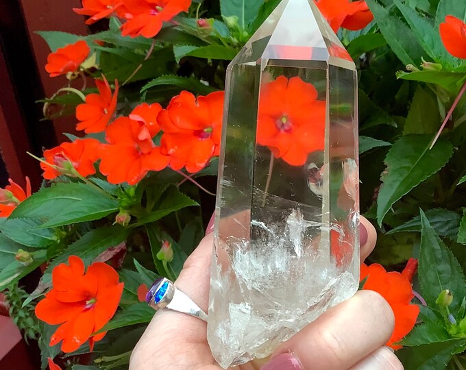 High Altitude Himalayan Clear Quartz Crystal Point ~ Large 8.7 oz. Wand ~ 5" Long ~ Museum Quality, Sparkling Inclusions ~ Fast Shipping USA