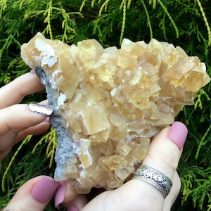 Yellow Calcite Crystal Cluster ~ 11 oz. ~ 4&quot; Long ~ Deep Golden Translucent Crystals ~ Cubic Formation ~ Fast & Free Shipping, USA + Global