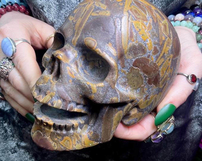Fossilized Jasper Laughing Crystal Skull ~ Large 3 Lb. 6 oz. ~ 5" Long ~ Hand Carved ~ Golden Red Brown & Black Colors, Fast Shipping USA