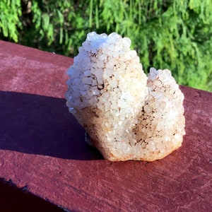 Spirit Cactus Quartz Crystal Cluster ~ 2,8 oz. ~ 2&quot; Tall Golden Healer Druzen gecoat ~ Sprankelend natuurlijk mineraal exemplaar ~ Snelle en gratis verzending