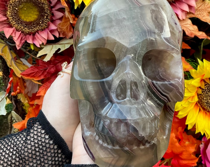 Rainbow Fluorite Crystal Skull ~ Large 9 Lb. 4 oz. ~ 6" Long ~ Hand-Carved Life-Size Sculpture Translucent Purple Colors ~ Free Shipping USA