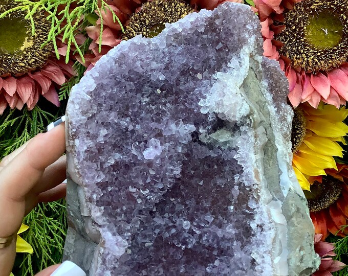 Amethyst Crystal Cluster ~ Large 4 lb. 8 oz. ~ 6" Tall ~ Reiki Display ~ Beautiful Purple Quartz Points ~ Big Specimen ~ Fast Shipping, USA