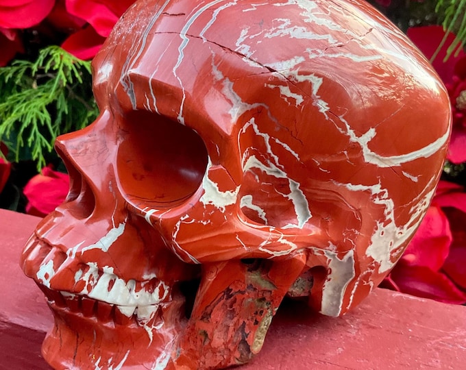 Red Jasper Crystal Skull ~ 7 Lb. 11 oz. ~ 6 1/2" Long High-Quality Hand-Carved Life-Size Sculpture Vivid Red & White Colors ~ Fast Shipping