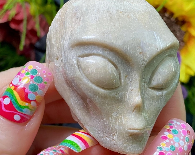 Fossilized Coral Stone Mini Crystal Skull ~ 5 oz ~ 2" Tall ~ Peach & Gray Colors ~ Expertly Hand -Carved Display Sculpture