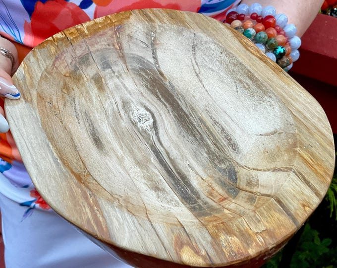 Large Petrified Wood Crystal Bowl: Indonesian Fossil Display (8")