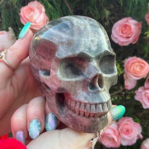 Petrified Wood Crystal Skull ~ Large 1 Lb 6 oz ~ 4&quot; Long ~ One-of-a-Kind Expertly Hand Carved Sculpture ~ Fast & Free Shipping, From U.S.A ~