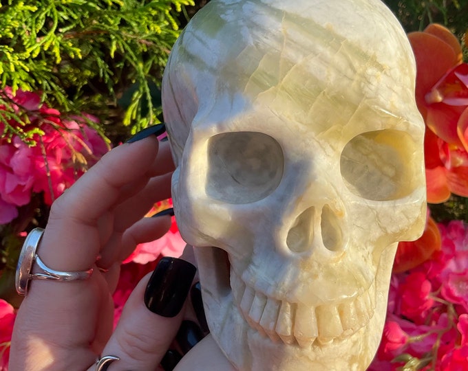 Green & White Agate Crystal Skull ~ 3 Lb. 2 oz. ~ 6" Long ~ Swirling Colors ~ Expertly Hand-Carved Display Sculpture ~ Fast Free Shipping