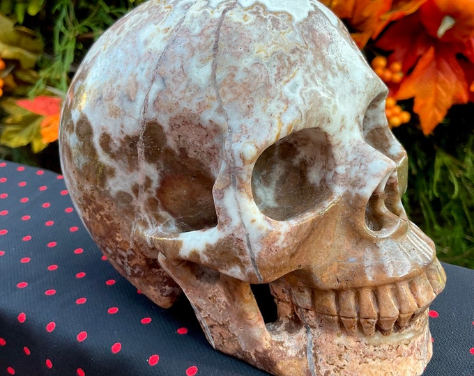 Aragonite Crystal Skull ~ Large 2 Lb. 12 oz. ~ 5" Long ~ Hand Carved Sparkling Brown & White Crystal Sculpture ~ Fast Free Shipping U.S.A. ~