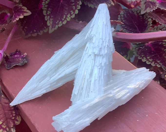 Scolecite Spray Crystal Cluster ~ 3" Long ~ Rare Synergy 12 Crystal ~ White Sparkling Points ~ Fast & Free Shipping, USA + Global Shipping ~