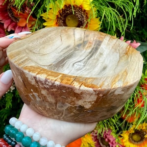 Petrified Wood Crystal Bowl ~ Large 6 lb. 8 oz. ~ 8&quot; Long ~ Stunning Display from Indonesia ~ Millions of Years Old ~ Fast Free Shipping USA