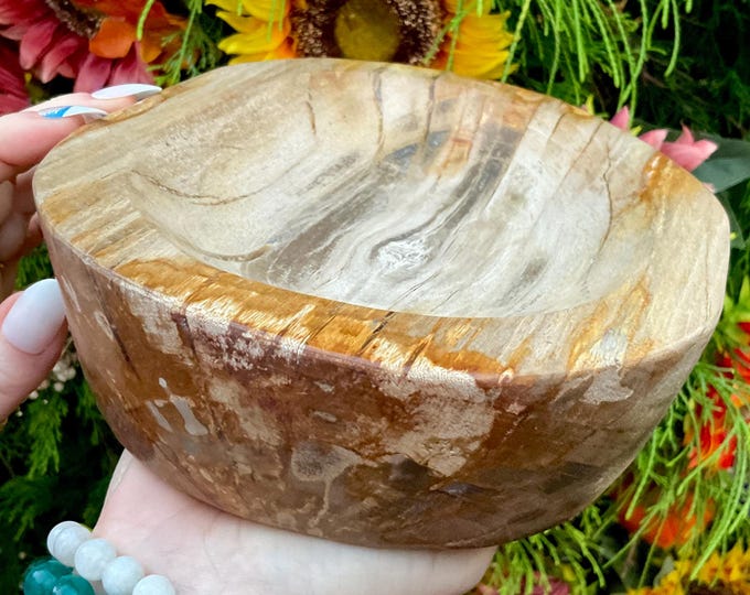 Petrified Wood Crystal Bowl ~ Large 6 lb. 8 oz. ~ 8" Long ~ Stunning Display from Indonesia ~ Millions of Years Old ~ Fast Free Shipping USA