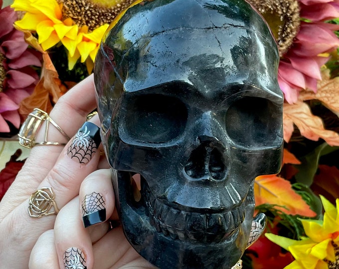 Black Quartz Crystal Skull ~ Large 2 Lb. 14 oz. ~ 5" Long ~ Hand Carved, Rare Dark Smokey Quartz Crystal ~ Fast & Free Shipping from U.S.A