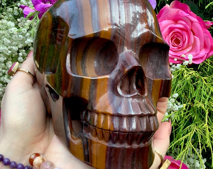 Tigers Eye Crystal Skull ~ Large 8 Lb. 7 oz. ~ 7" Long One-of-a-Kind Carving ~ Swirling Golden Red Brown & Black Colors ~ High Quality