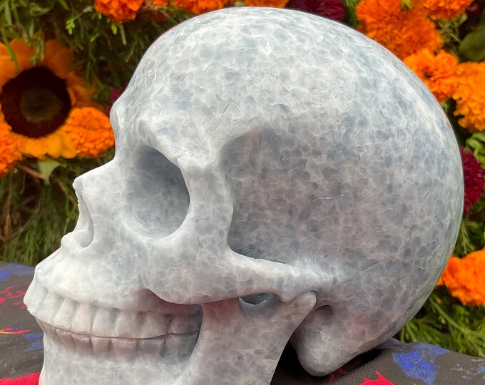 Blue Calcite Crystal Skull ~ Large 5 Lb. 4 oz. ~ 6" Long ~ Sparkling Angelic Blue & White Colors ~ Expertly Hand Carved ~ Altar Display