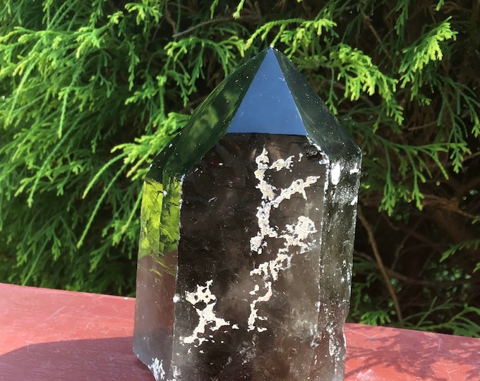 Black Smokey Quartz Crystal Generator ~ Large 13.8 oz. ~ 4" Tall ~ Sparkling High Luster Polished Point ~ Fast & Free Shipping from U.S.A. ~