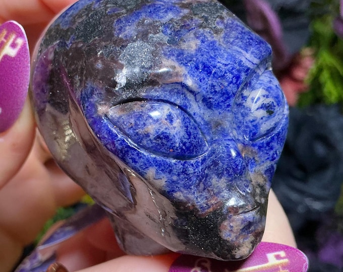 Sodalite Alien Mini Crystal Skull ~ Large 5 oz. ~ 2" Tall ~ Blue, Black and White Patterns ~ One-of-a-Kind Sculpture