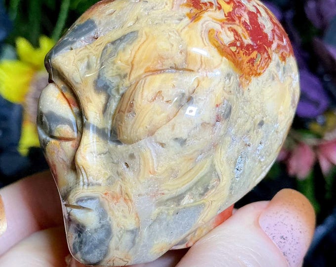 Crazy Lace Agate Mini Skull 5 oz. Crystal ~ 2" Long ~ Swirling Red & Yellow Colors ~ Expertly Hand -Carved Display Sculpture