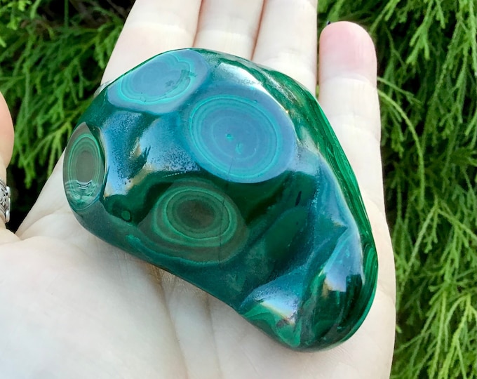 Malachite Large 5.7 oz. Stone ~ 2 1/2" Long - Big Beautiful Polished Green African Mineral Specimen Display ~ Swirling Bullseye Patterns