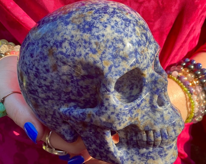 Speckled Sodalite Crystal Skull ~ 2 Lb. 11 oz. ~ 5" Long ~ Hand Carved Sparkling Royal Blue, White, Gold Colors ~ Fast & Free Shipping, USA