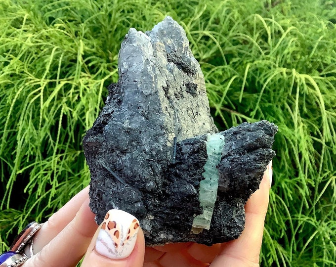 Himalayan Quartz Crystal Cluster ~  12 oz. ~ 4" Long ~ Sparkling Emerald Beryl In Natural Actinolite Ancient Matrix ~ Fast & Free Shipping