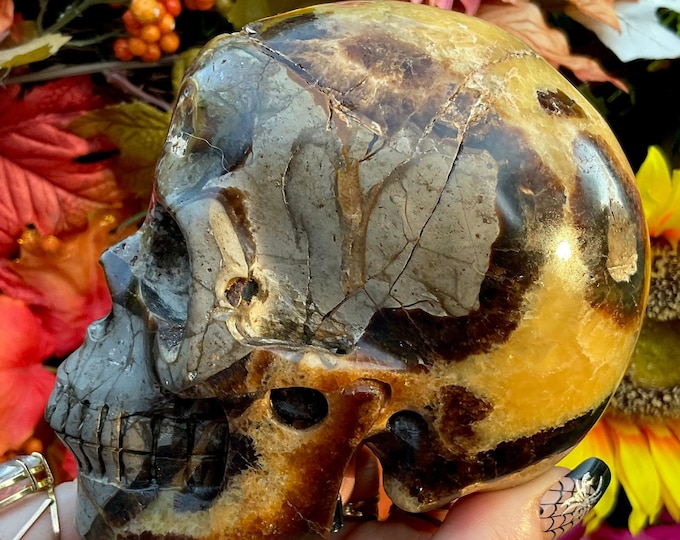 Hand Carved Septarian Dragon Stone Skull: 2 Lb. 10 oz, 5" Long