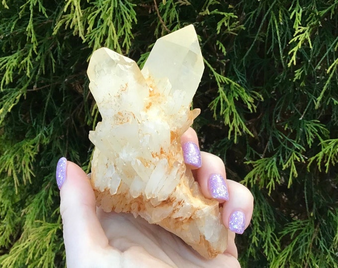 Tibetan Golden Healer Elestial Quartz Crystal Cluster ~ Large 8.9 oz. ~ 4" Long ~ Natural Sparkling Gold Cascading Points ~ Free Shipping ~
