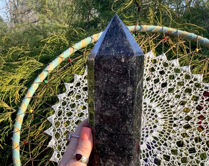 Black Tourmaline Quartz Generator ~ Large 5 Lb. 13 oz. ~ 13" Tall ~ Museum Quality ~ Fast & Free Shipping