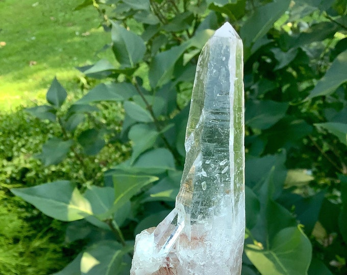 High Altitude Himalayan Clear Quartz Crystal Point ~ Large 5 oz. Wand ~ 5" Long ~ Fast & Free Shipping ~ One of a kind Specimen ~