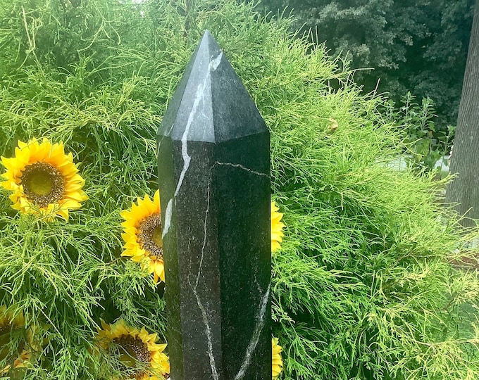 Tourmaline Quartz Large 29 Lb. 13 oz. Generator ~ 25" Tall ~ Vivid Thick Black Tourmaline Crystal ~ Museum Quality ~ Fast & Free Shipping