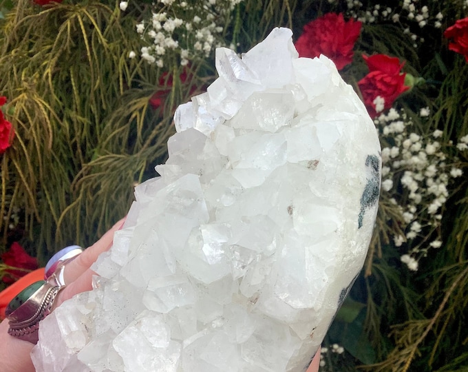 Apophyllite Crystal Cluster ~ Large 1 Lb. 14 oz. ~ 6" Long Stunning Sparkling Zeolite Specimen ~ Loaded w/ Cubic White Crystals Rare Display