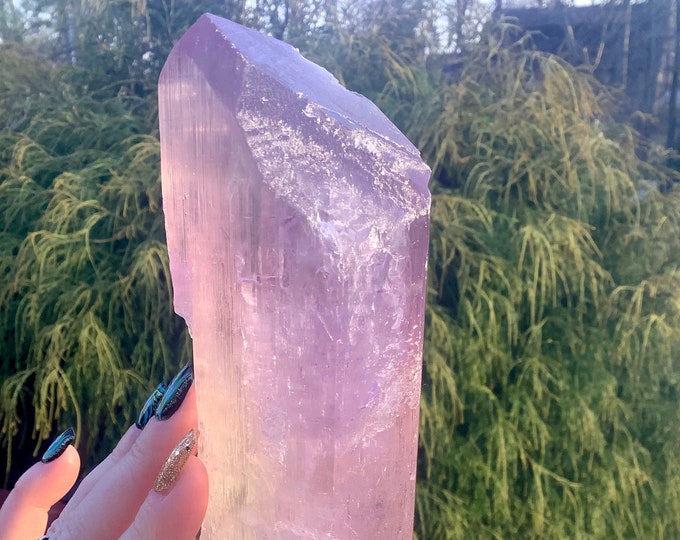 Kunzite Crystal ~ Large 1 LB. 10 oz. ~ 6" Long ~ Museum Quality Natural Gemstone ~ Sparkling Lilac Pink Violet Color Transparent High Luster